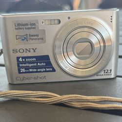 Sony Cyber-shot DSC-W230 12 MP Digital Camera with 4x Optical Zoom and Super Steady Shot Image Stabilization (Silver)