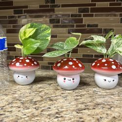 Mushrooms Propagation 