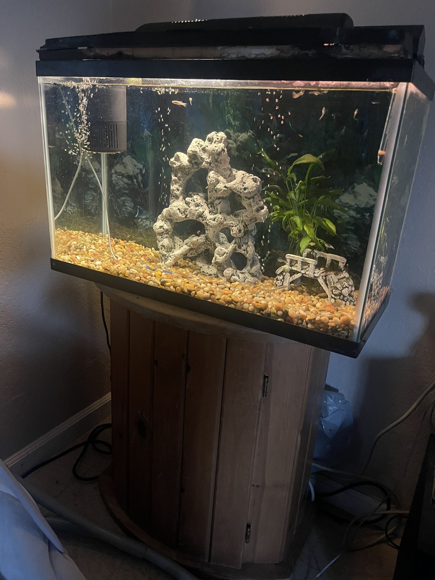 $60 Aquarium Fish Tank 29 galons (ONLY TANK BASE AND FILTER,LIGTHS) Tulare
