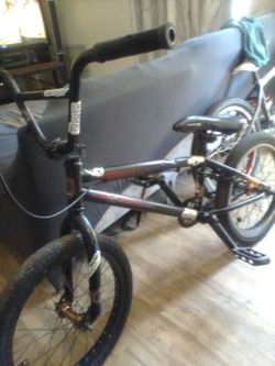 We the people 18 in BMX