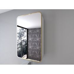 Better Homes & Gardens Brushed Golden Aluminum Frame Wall Mount Mirror Medicine Cabinet