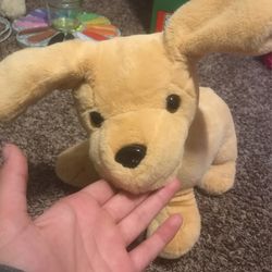 Cute Small Dog Piggy bank