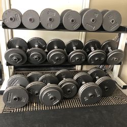Pro Style Dumbbells 