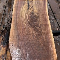 Live Edge Slabs