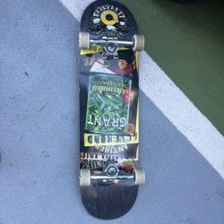 New Anti Hero Full Skateboard 