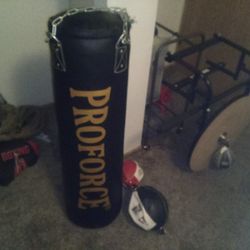 Punching Bag, Double End Bag.