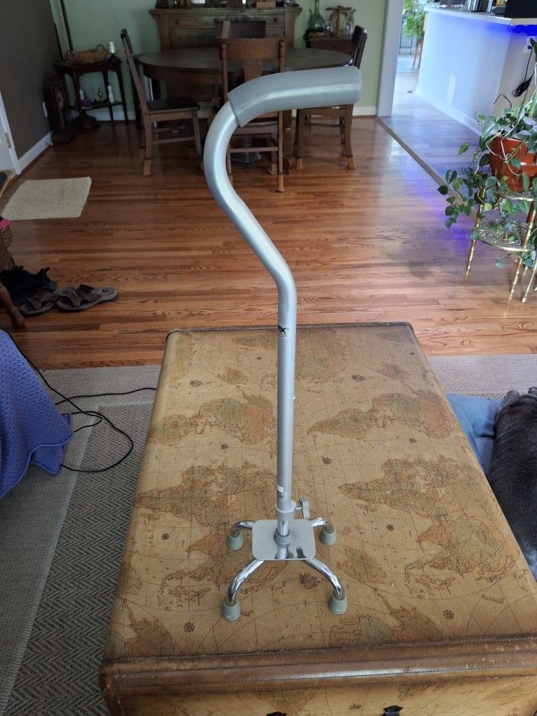 Quad Walking Cane