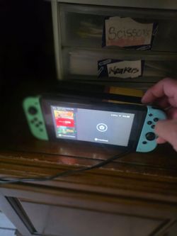 Switch with animal crossing joycons