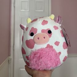 2023 Evangelica Valentines Day Squishmallow