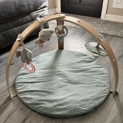 Ingenuity Baby Activity Mat