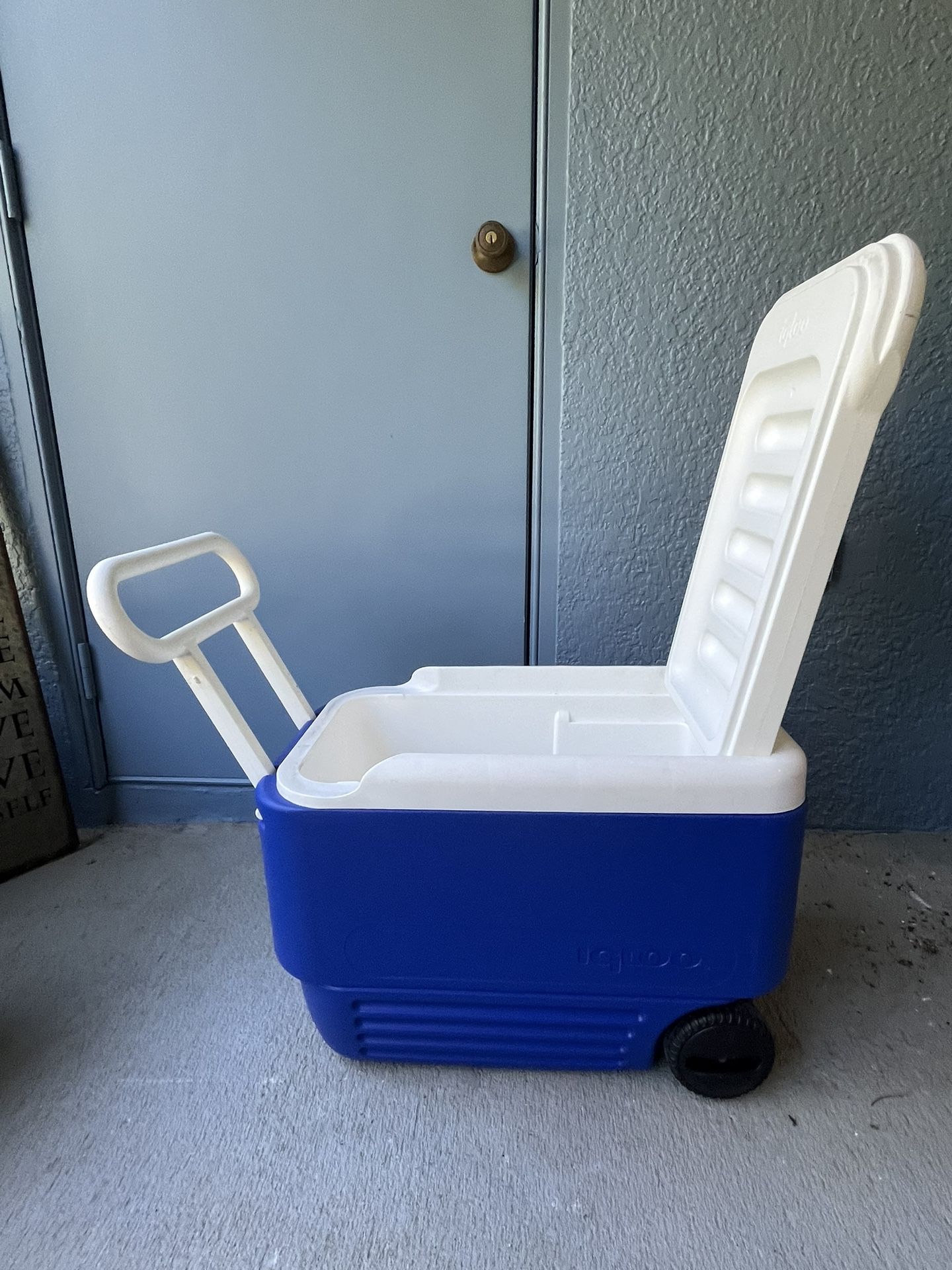 Large Cooler