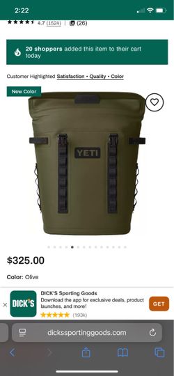 Backpack cooler yeti