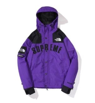 Supreme The North Face Arc Logo Mountain Parka Teal