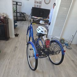 Meridian Schwinn