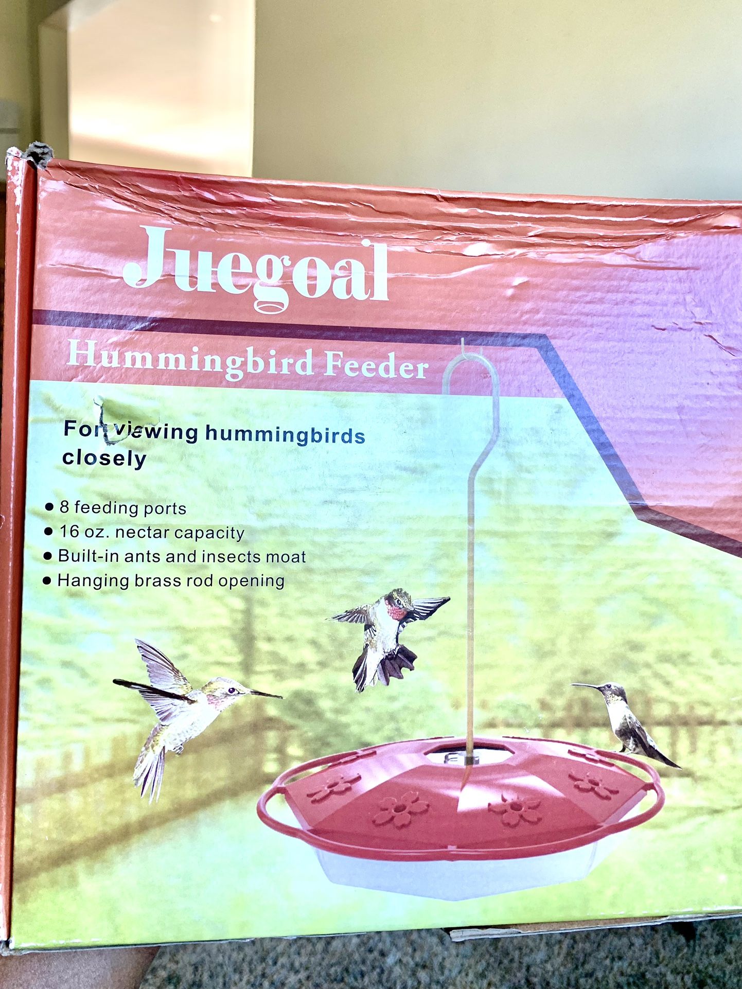 Hummingbird Feeder