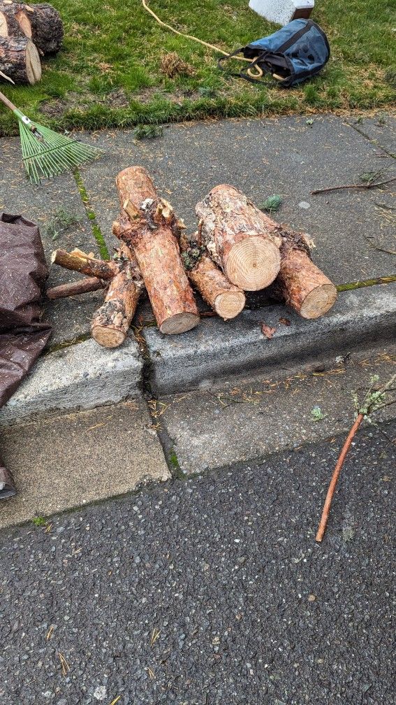 Free Wood .. Free Deliver+ Im Area Only v