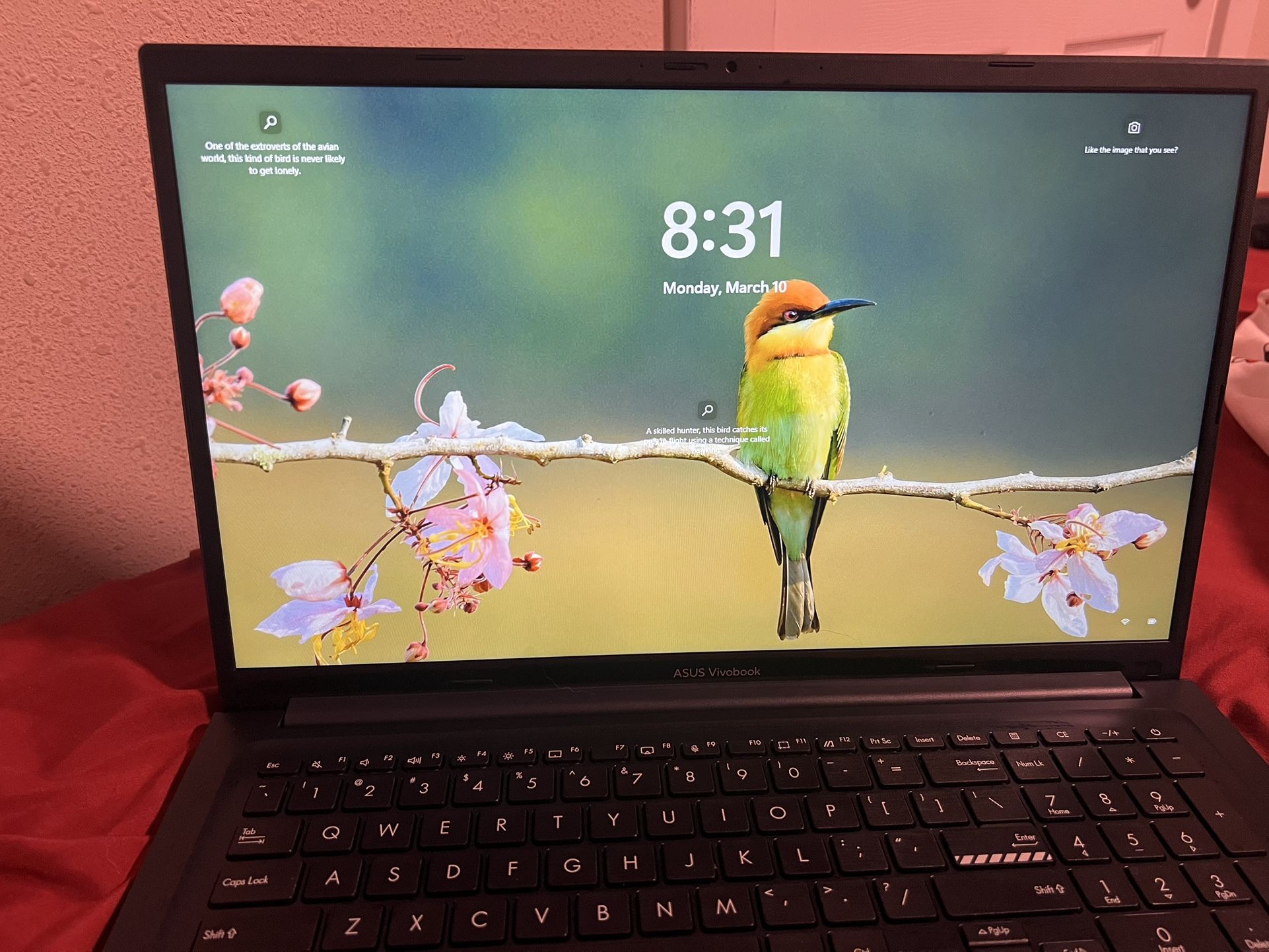 Asus Laptop