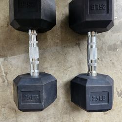 25 Lb Dumbbells 
