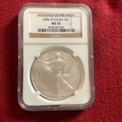 Burnished Silver Eagle