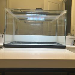 10 Gallon Fish Tank 