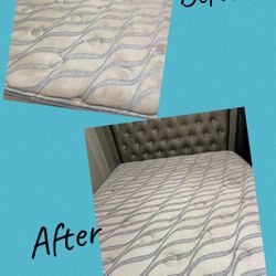 🚨STEAM AND SHAMPOO