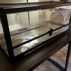 Reptile Tank