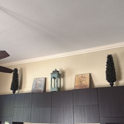 Two small trees, two bird pictures, and a decoration birdcage