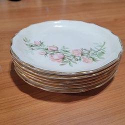 Set Of 6 Vintage Rose Painted Plates