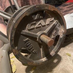 Olympic Plates 100 Lbs Weight Plates 