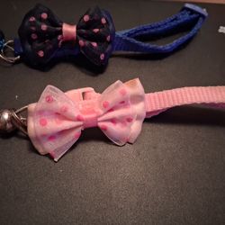 blue and pink matching animal collars
