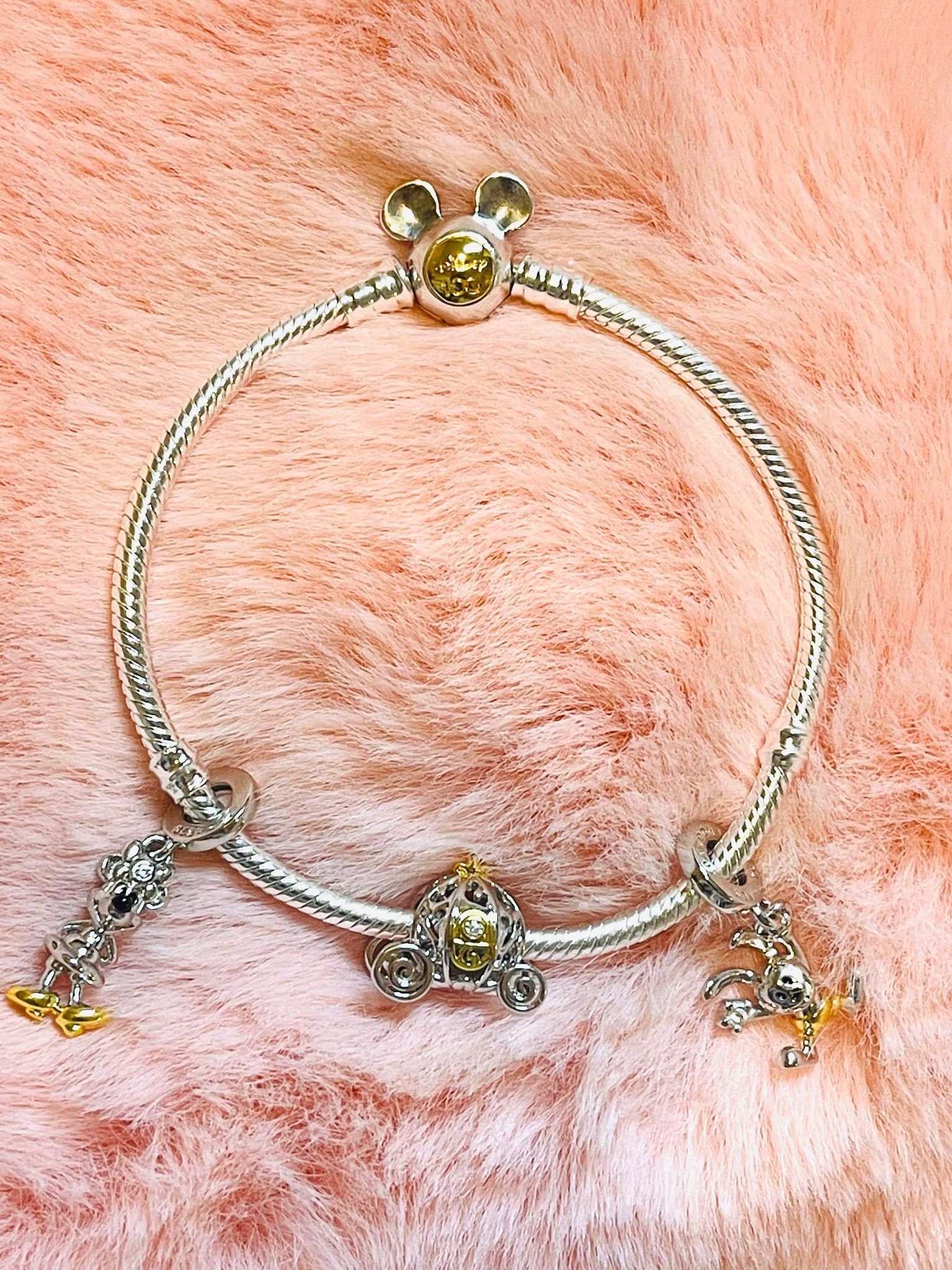 Disney's 100th Anniversary Set