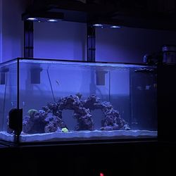 Fiji cube 38 Gal Peninsula Aquarium (See Description For included Stuff)