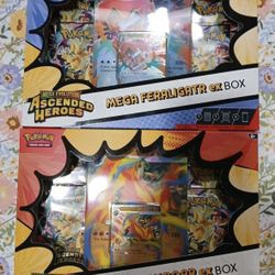 Ascended Heroes EX Box 