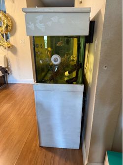 75 gallon aquarium