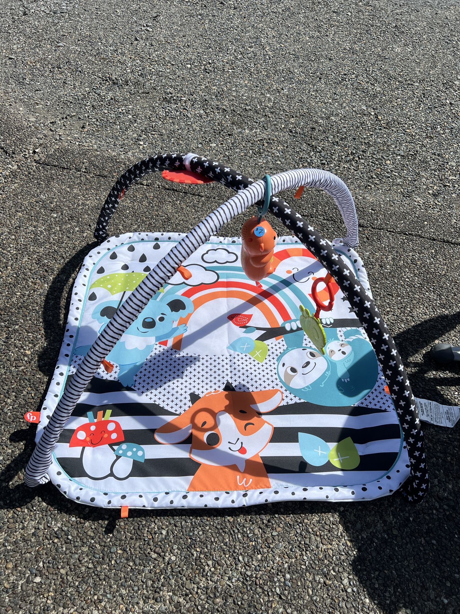 Fisher price Playmat