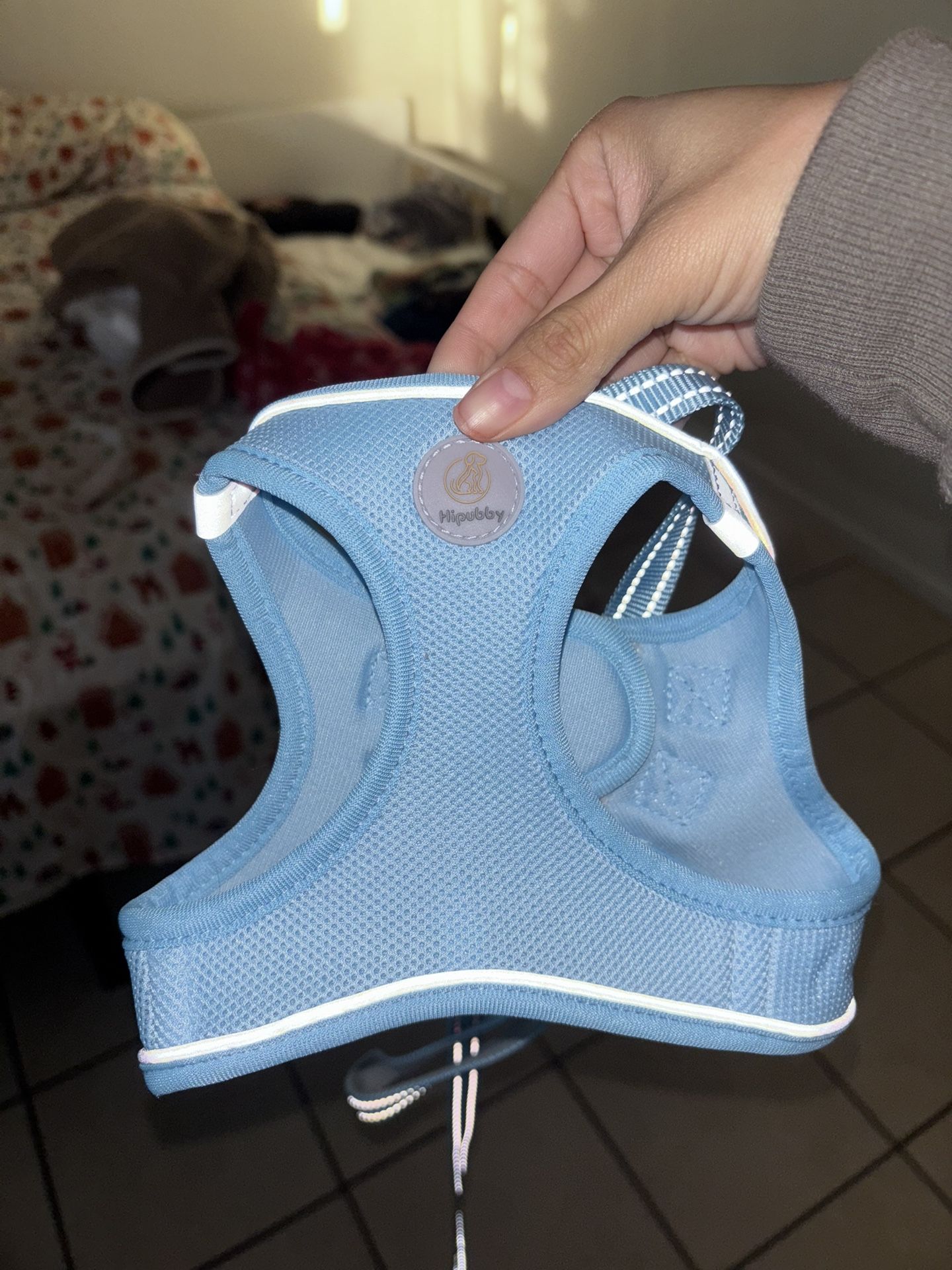 dog leash and harness