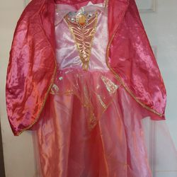 Sleeping Beauty Costume  Sz 3T-4T