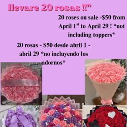 20 Roses(Rosa’s)