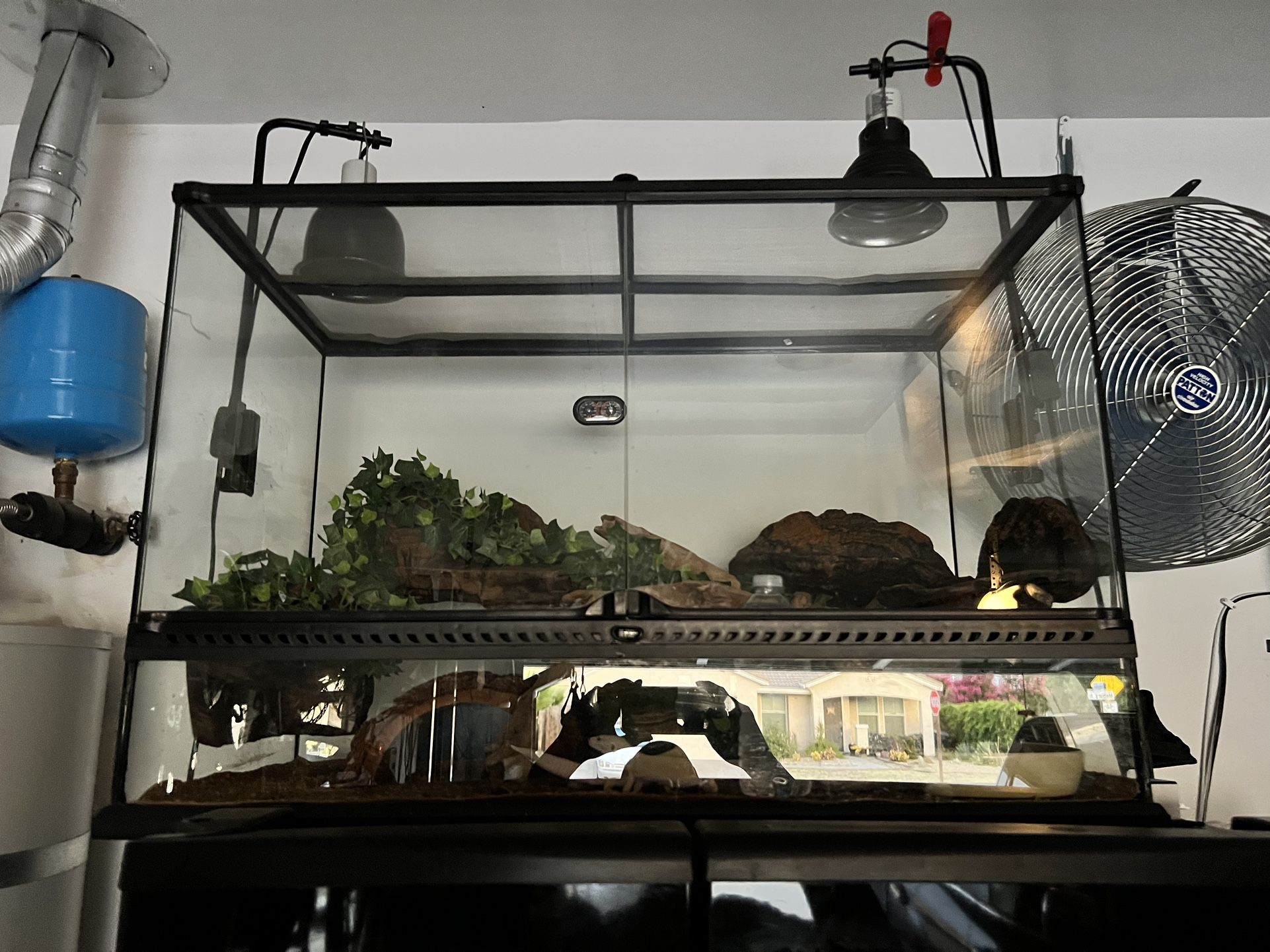 Reptile Enclosure 
