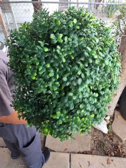 2 pack fake artificial tree
