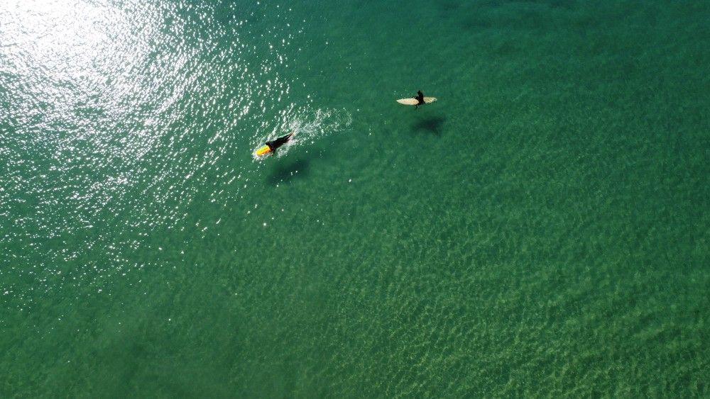 Surfboard Funboard Longboard Surfboards For Sale