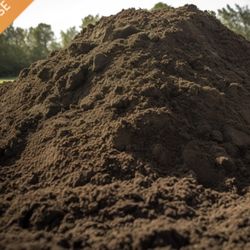 Need Clean Dirt!!!