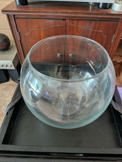 5 gal fish bowl extra large betta
