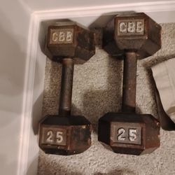 25 lbs dumbbells (2)