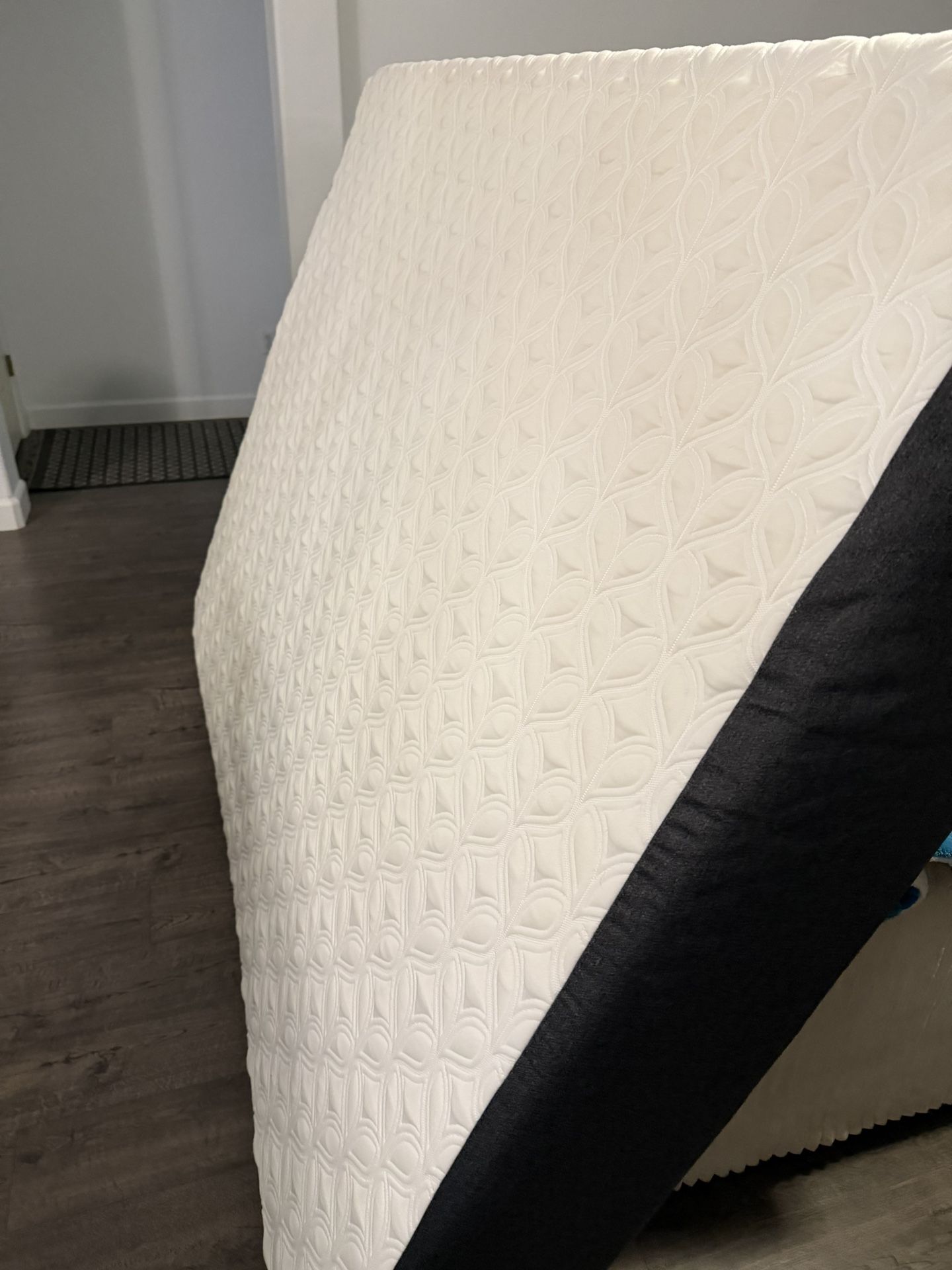 Cocoon By Sealy - Queen