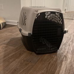 Small Dog Kennel