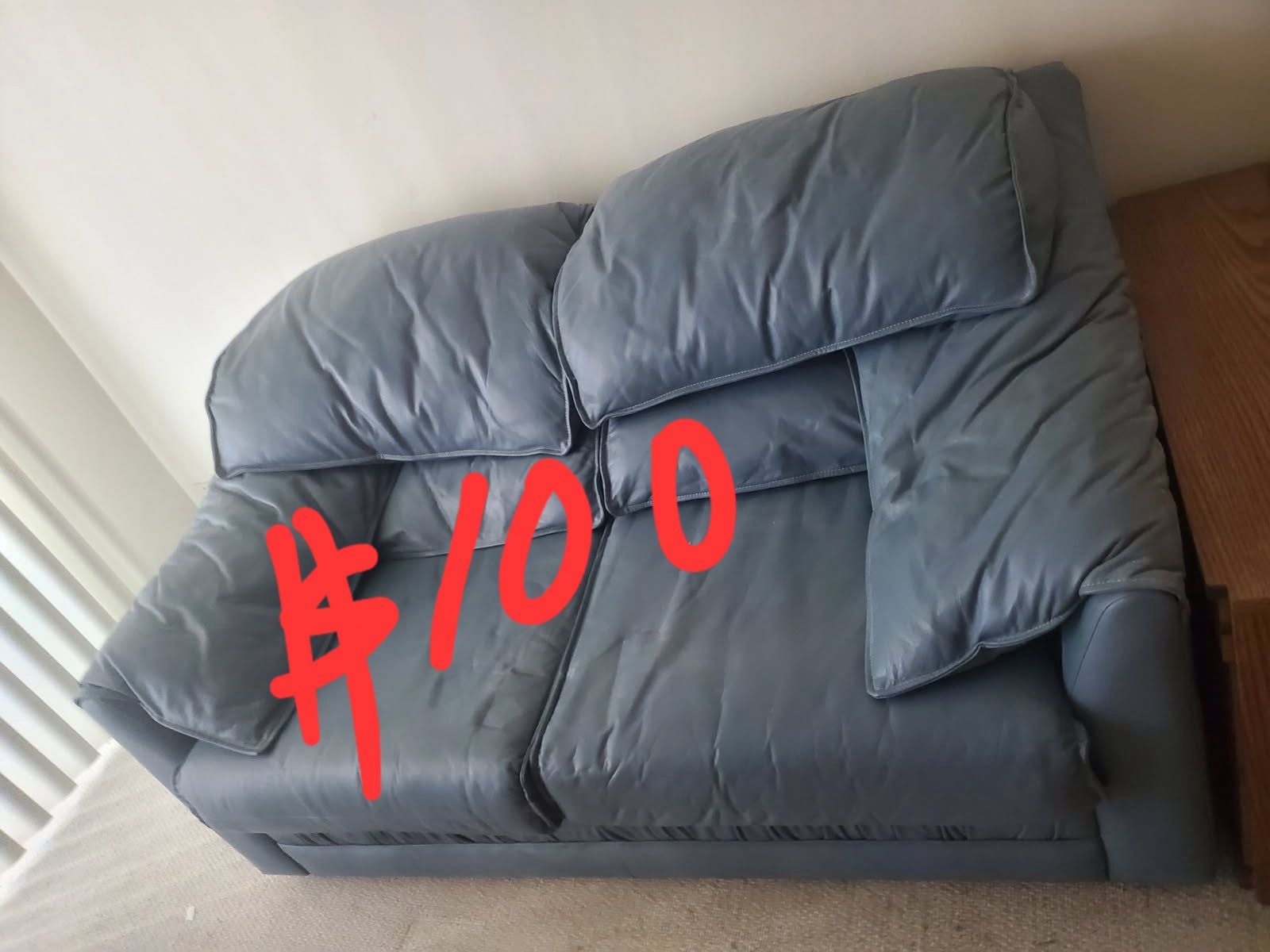 Leather Couch