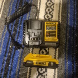 Dewalt 20v 2ah Battery And 4ah Charger