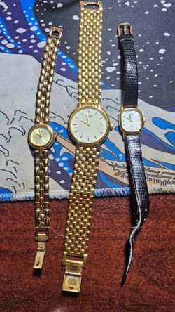 Ladies Citizen watch bundle