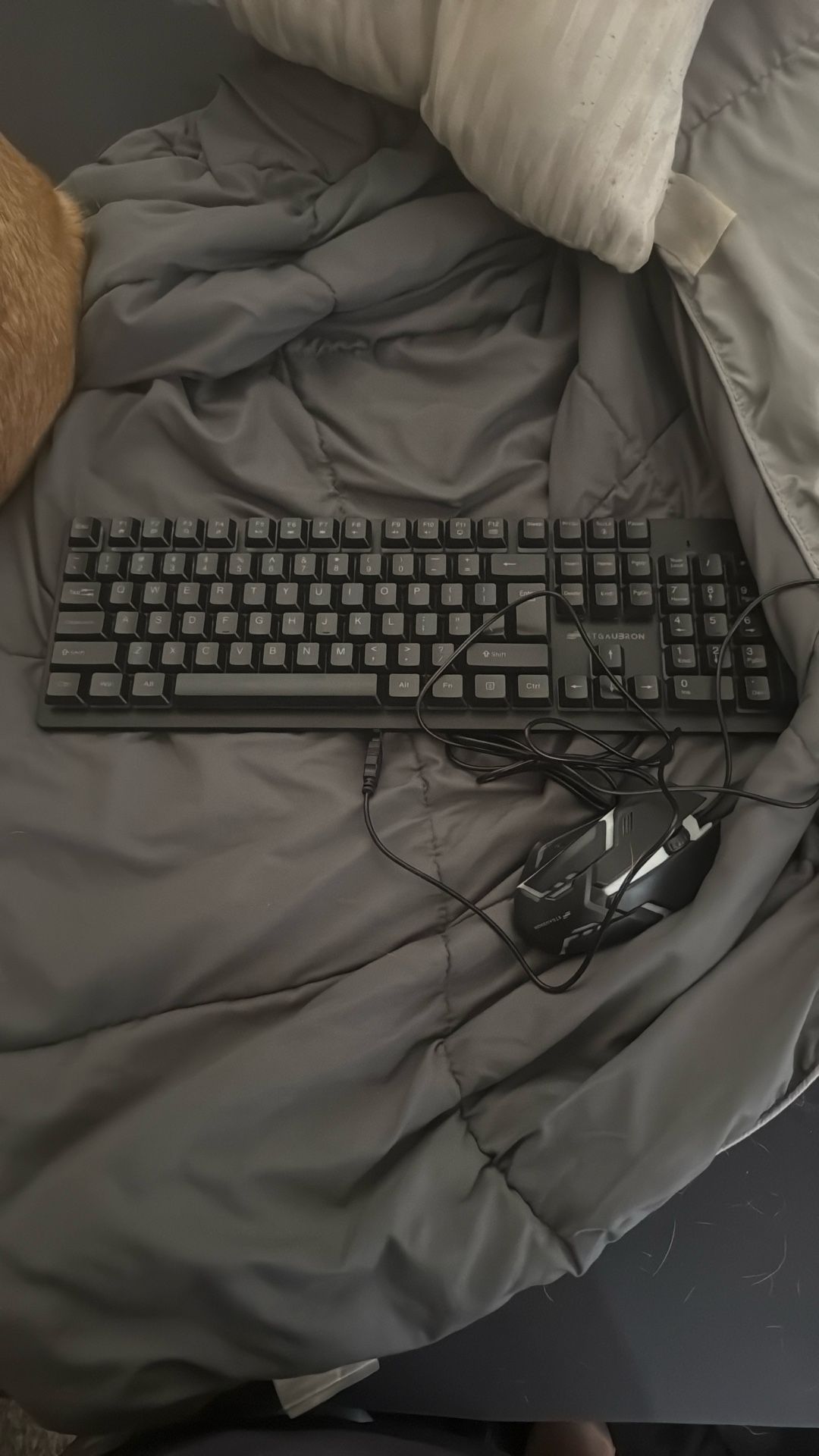 keyboard and mouse